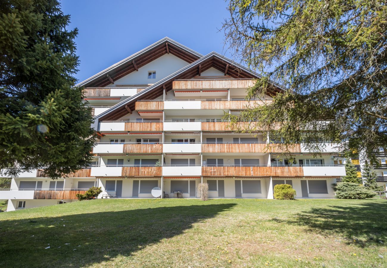 Studio in Laax - LAAX Homes - Val Signina 2-9 Studio in Laax - LAAX Homes - Val Signina 2-9