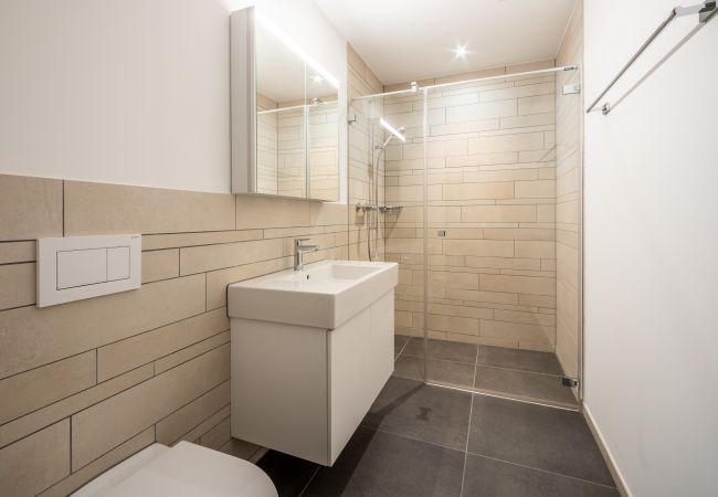 Apartment in Flims Dorf - LAAX Homes - Vallada 11_06 Apartment in Flims Dorf - LAAX Homes - Vallada 11_06