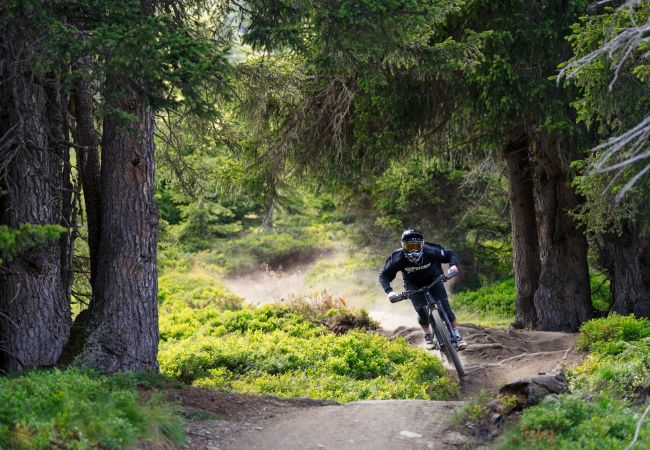 Apartment in Laax - LAAX Homes -Val Mulin 9.1B Apartment in Laax - LAAX Homes -Val Mulin 9.1B