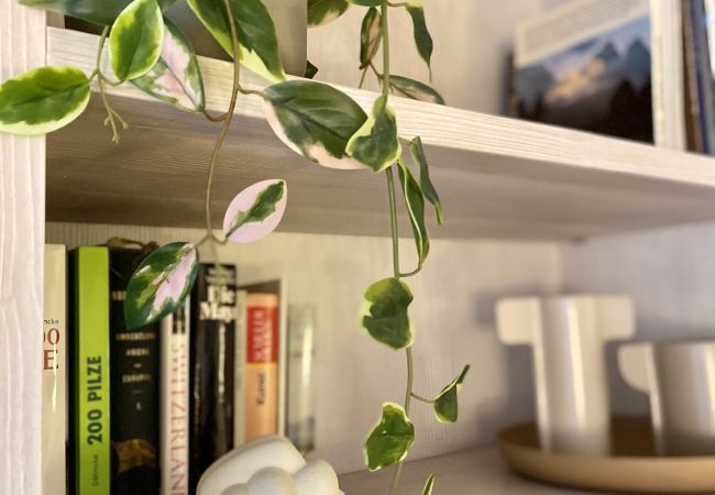 Ferienwohnung in Laax - Rancho 445 Ferienwohnung in Laax - Rancho 445