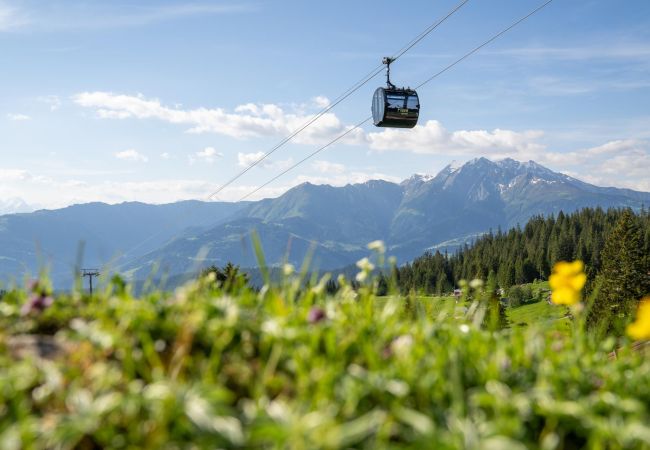 Ferienwohnung in Laax - Maighels 3_9 Ferienwohnung in Laax - Maighels 3_9