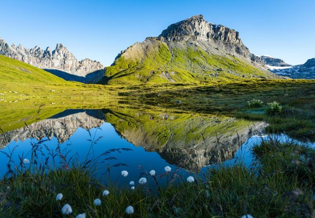 Ferienwohnung in Laax - Val Mulin 14.2 Ferienwohnung in Laax - Val Mulin 14.2